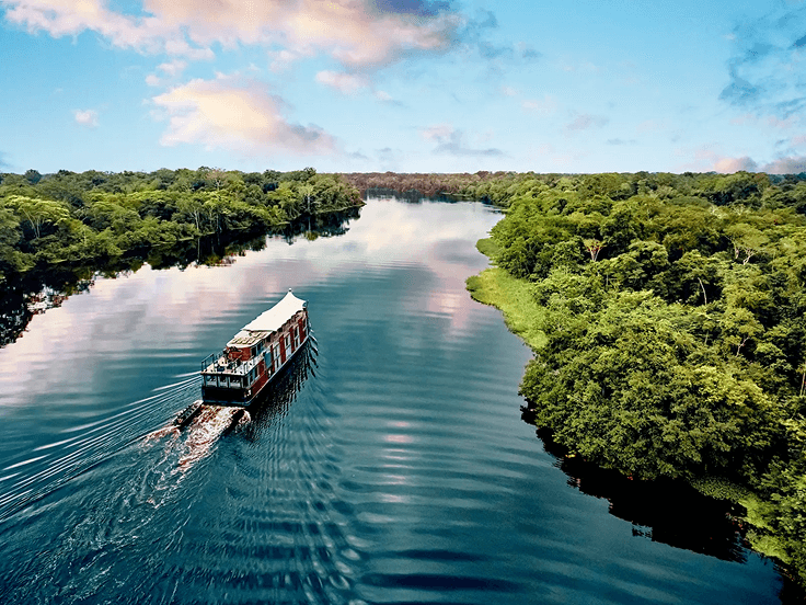 Explore the Amazon Rainforest