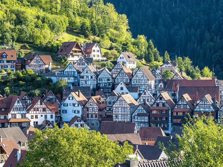 Tour the Black Forest