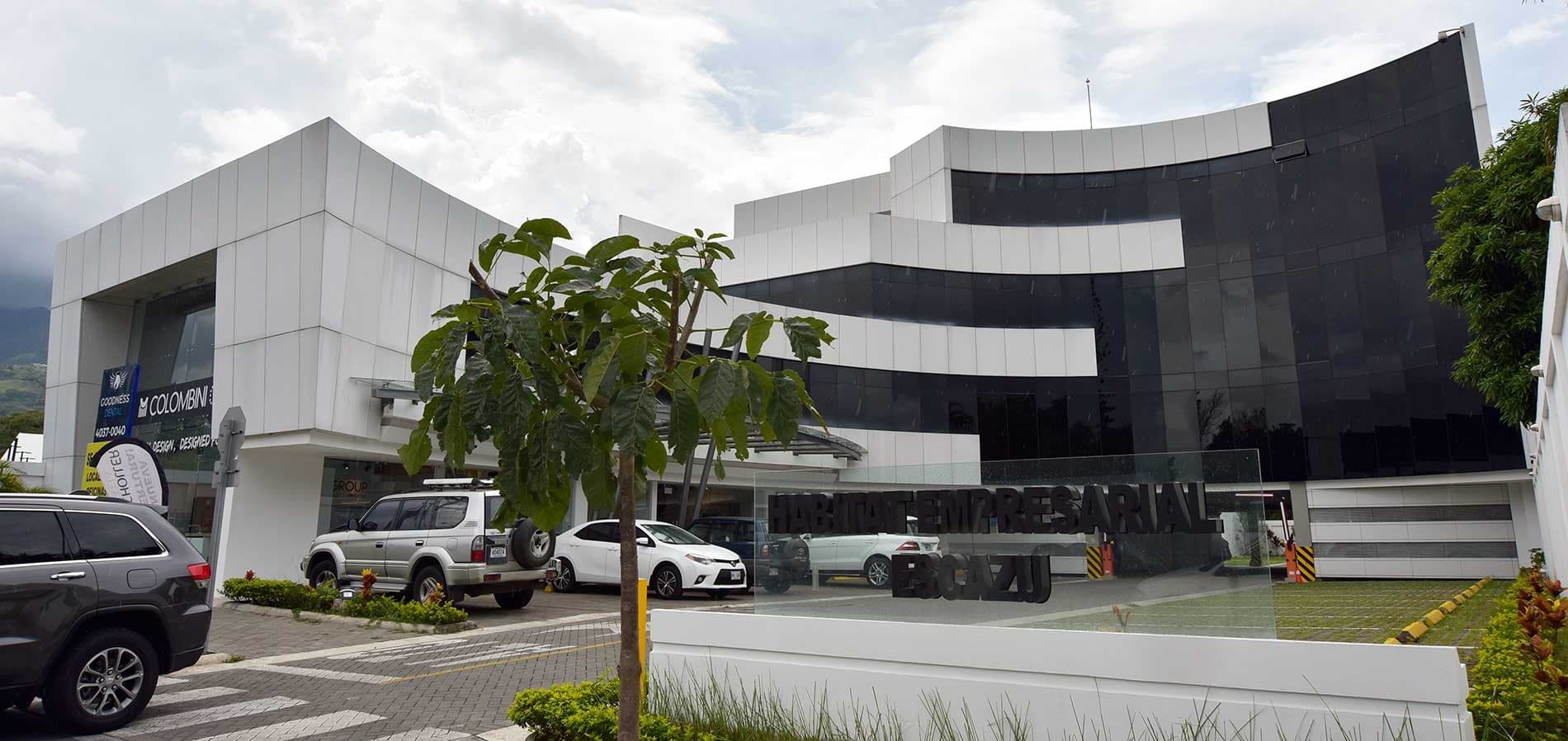 Goodness Dental