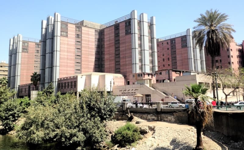 Qasr El Ayni Teaching Hospital (Cairo University) - Image 1