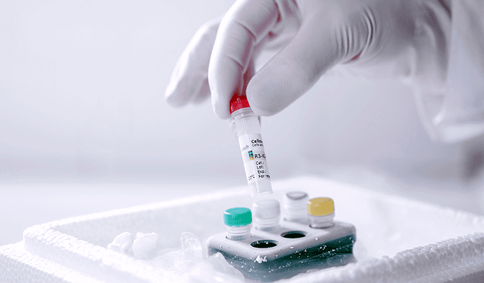 Epithelial Stem Cells