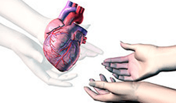 Heart Transplant