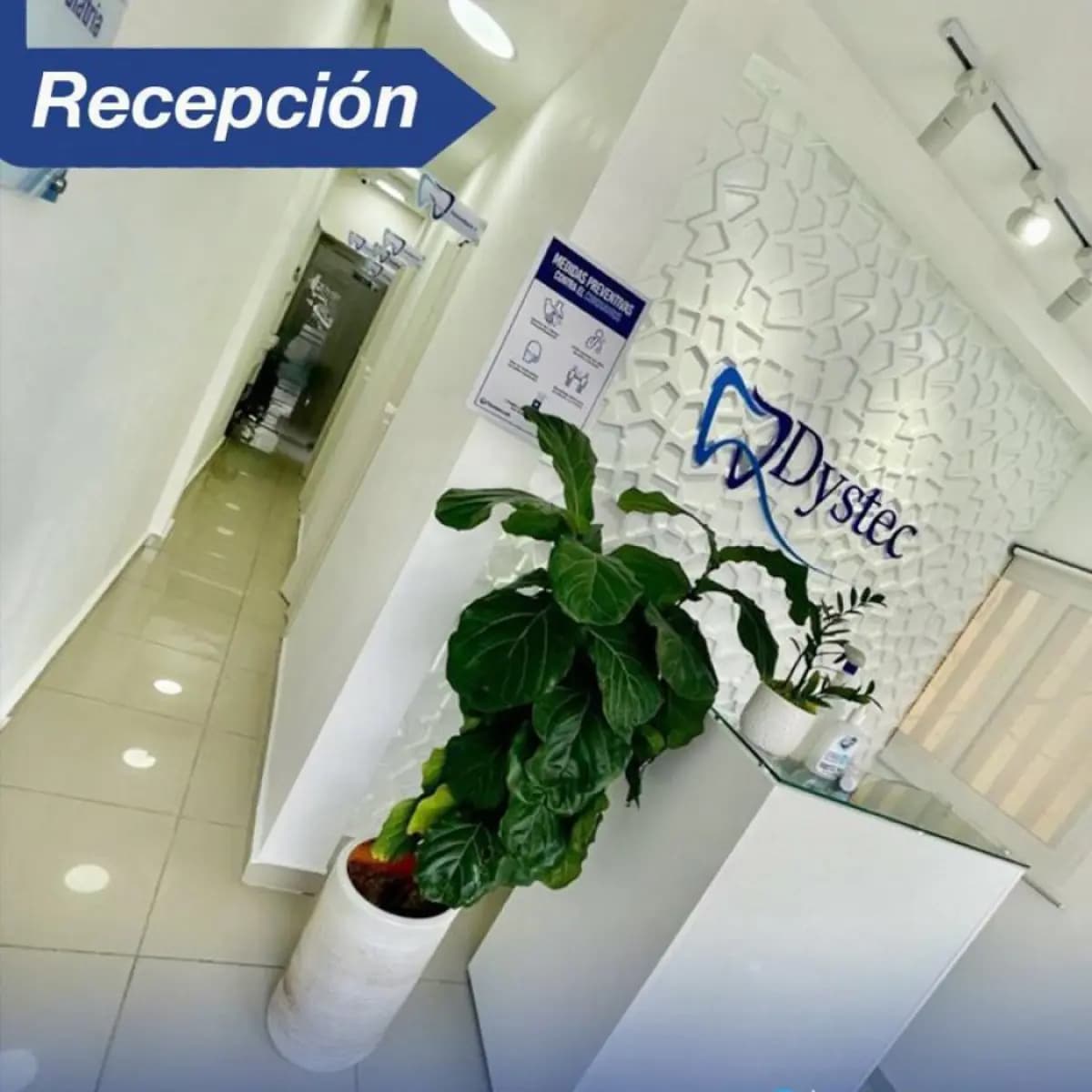 Dystec Dental Clinic - Image 3