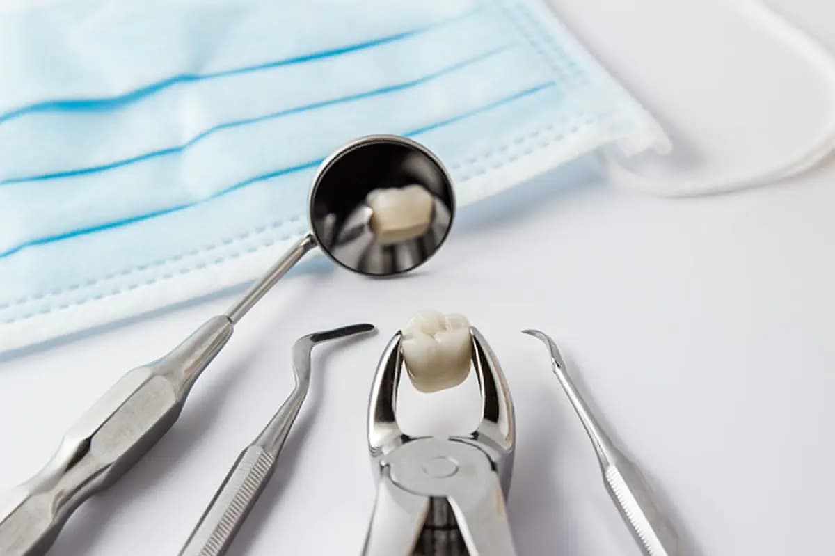 Dental Fraternity - Image 3