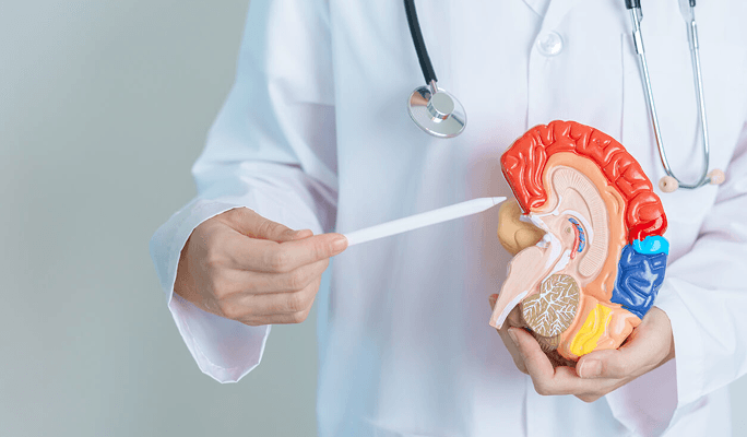 Kidney Transplantation Surgery