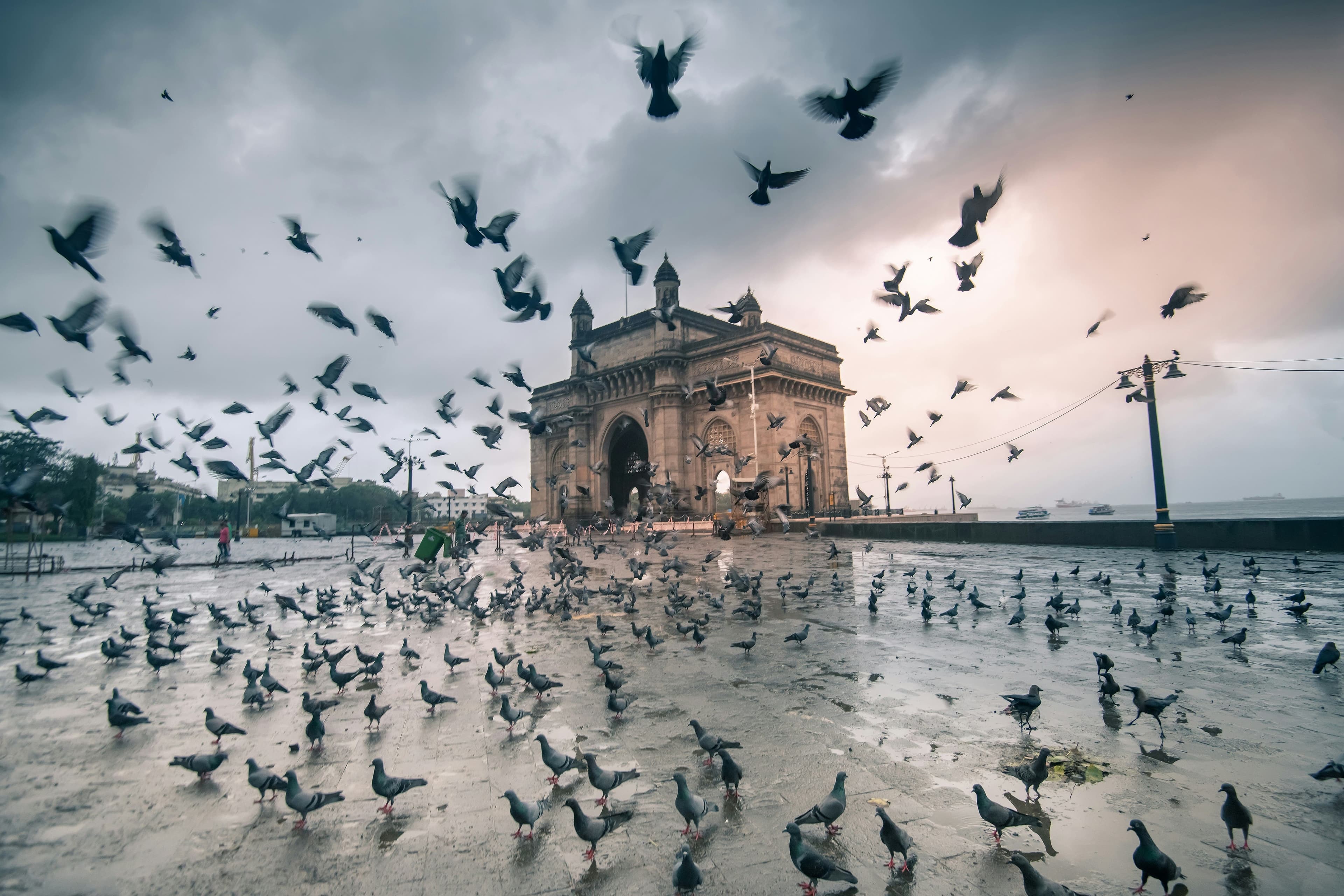 India - Image 3