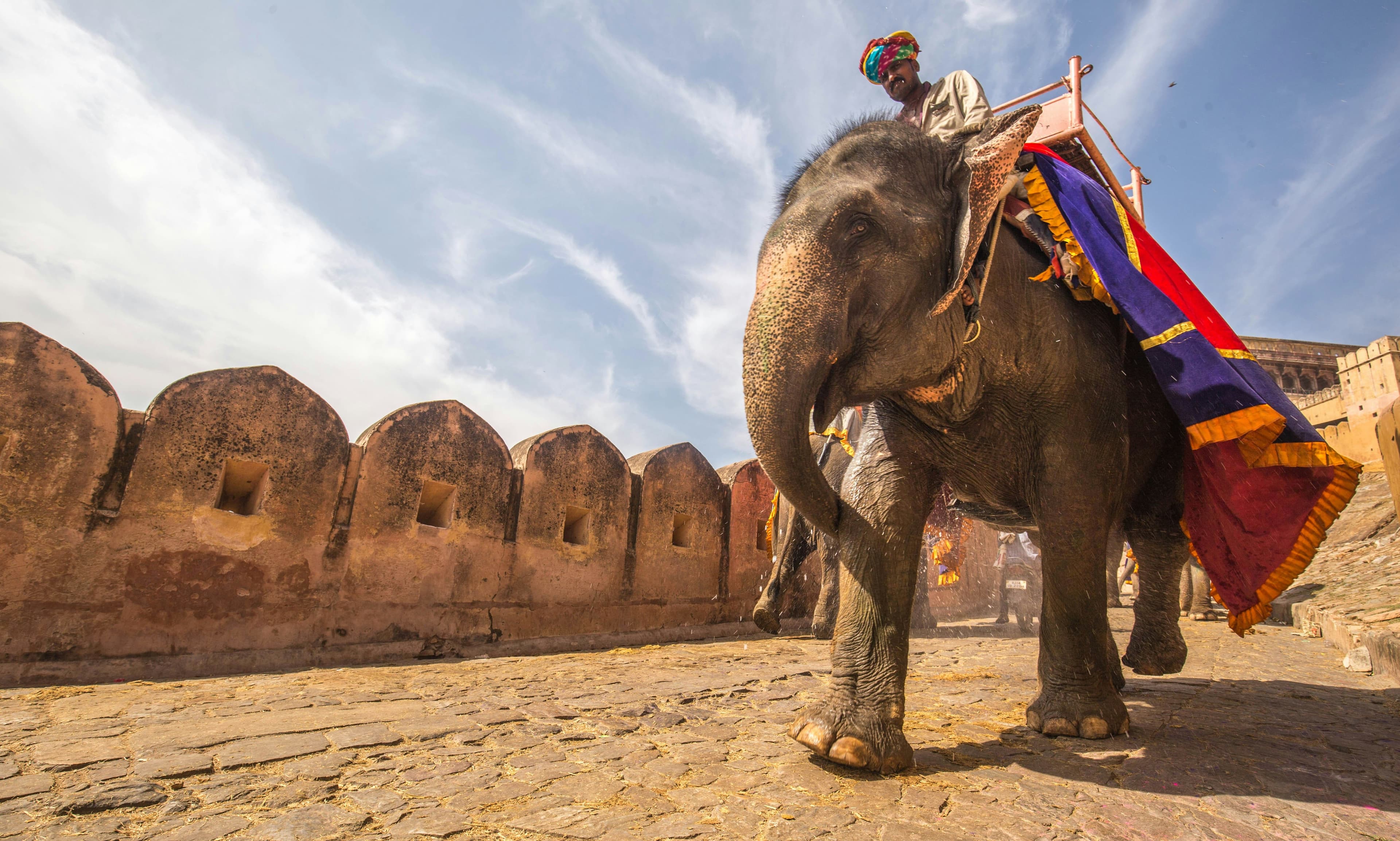 India - Image 4