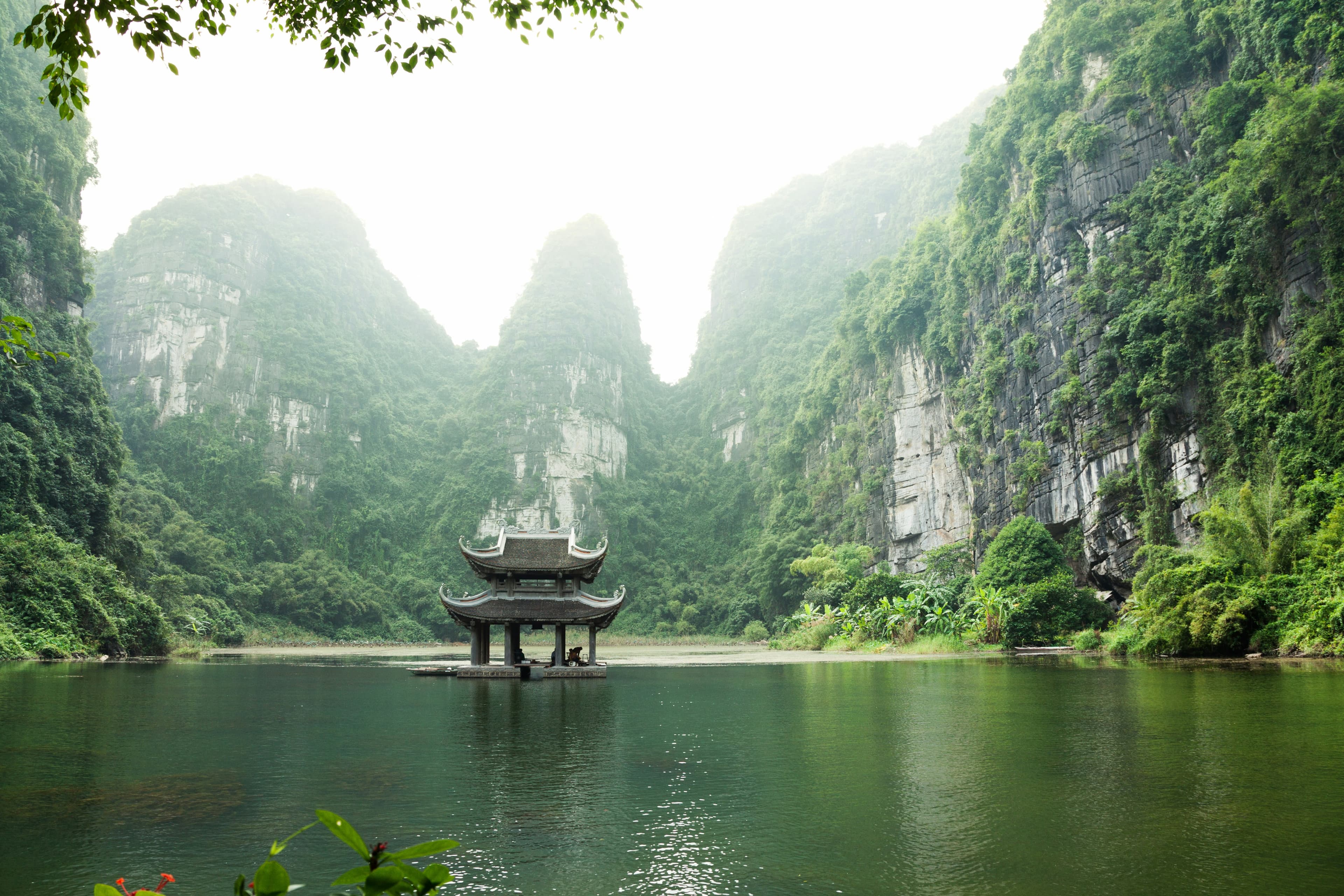 Gastric Cancer Treatment in Vietnam