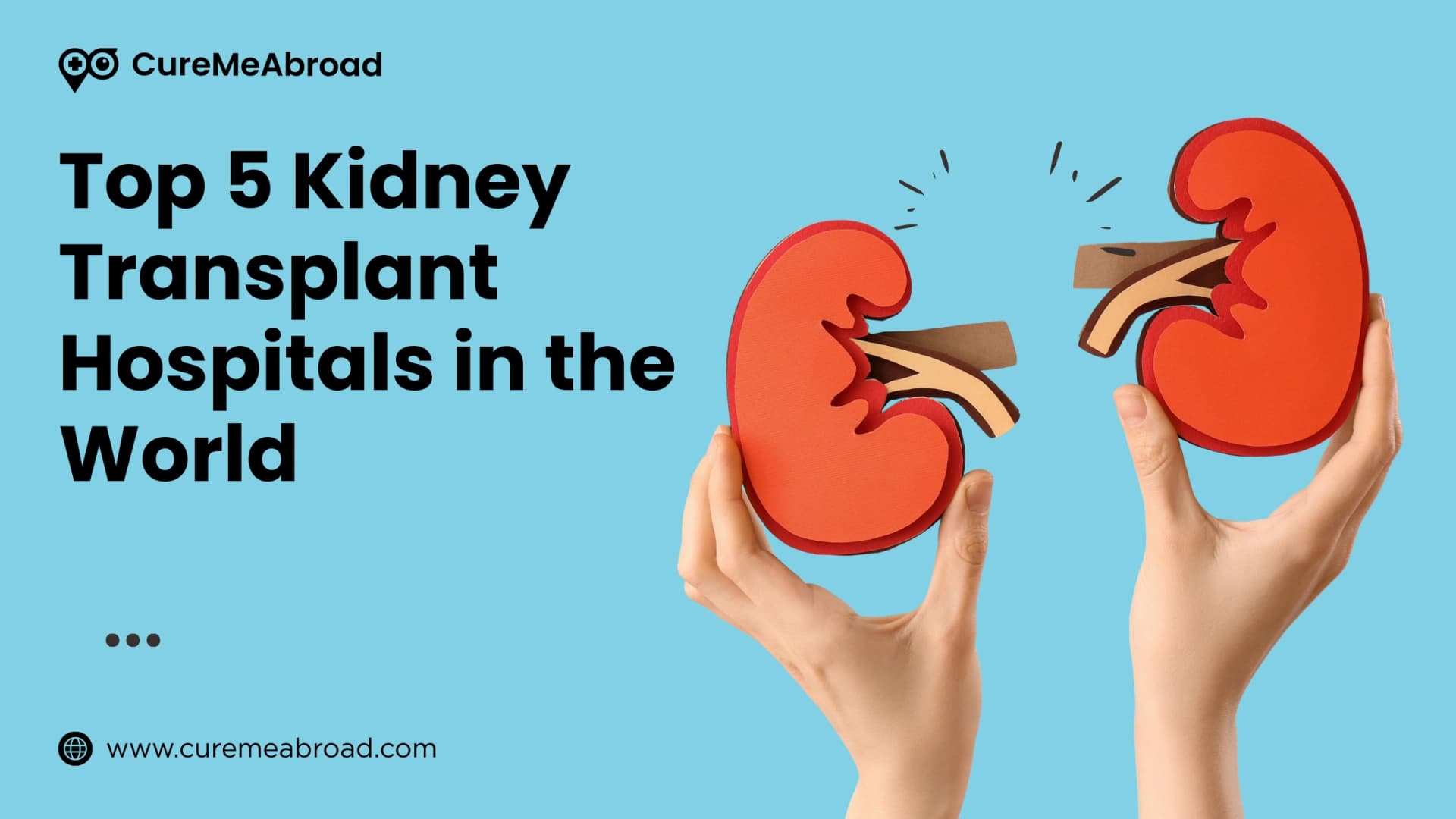  Top 5 Kidney Transplant Hospitals in the World  (2026)