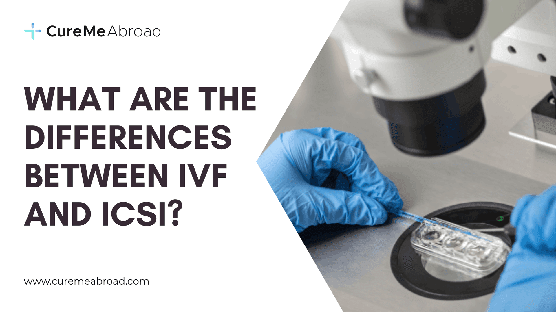 What are the differences between IVF and ICSI? 