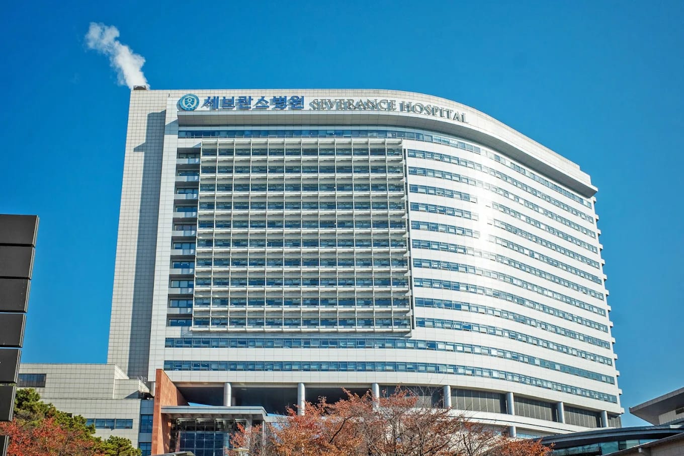Severance Hospital (Yonsei University, Seoul) - Image 1