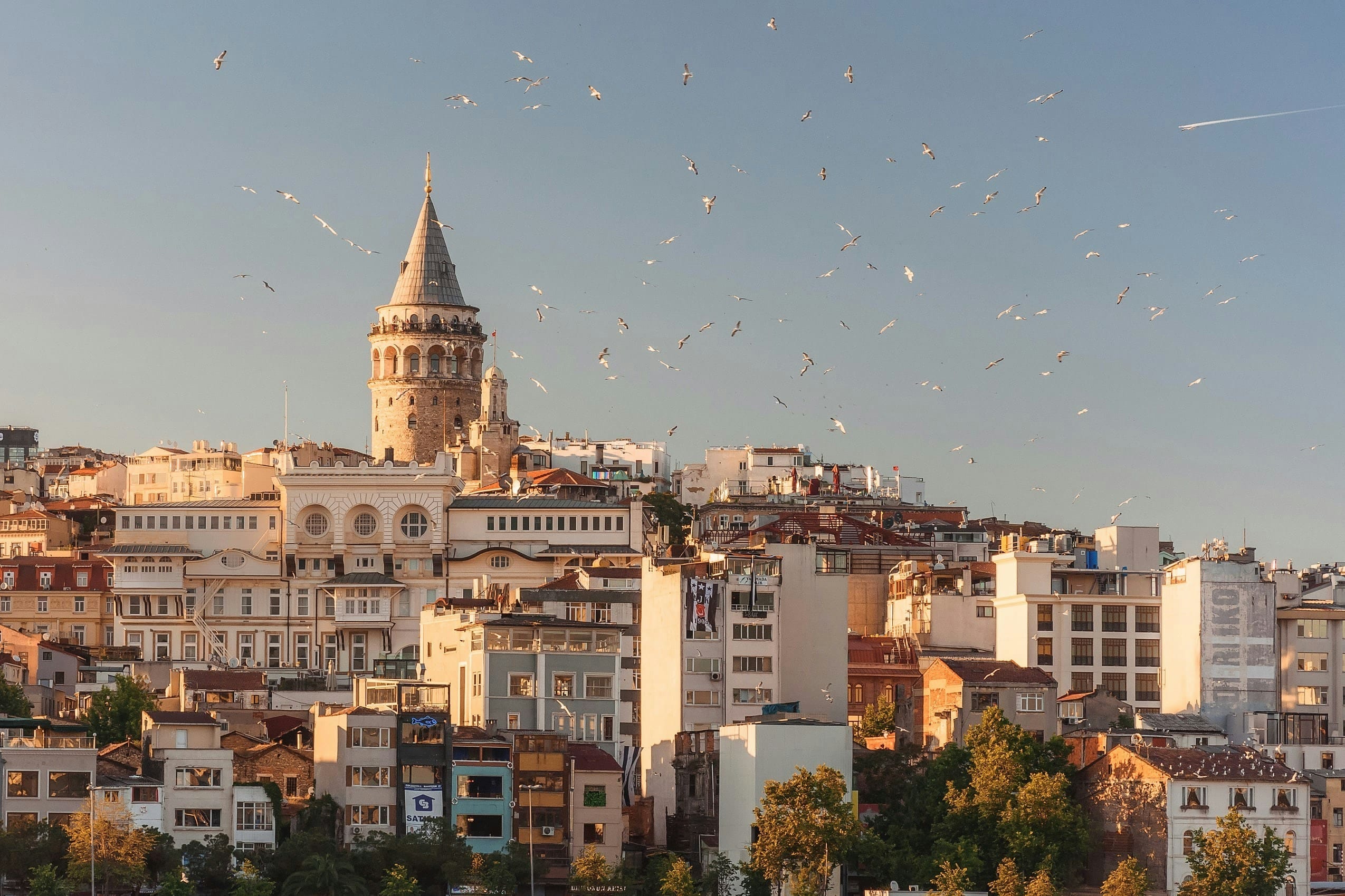Turkey - Image 1
