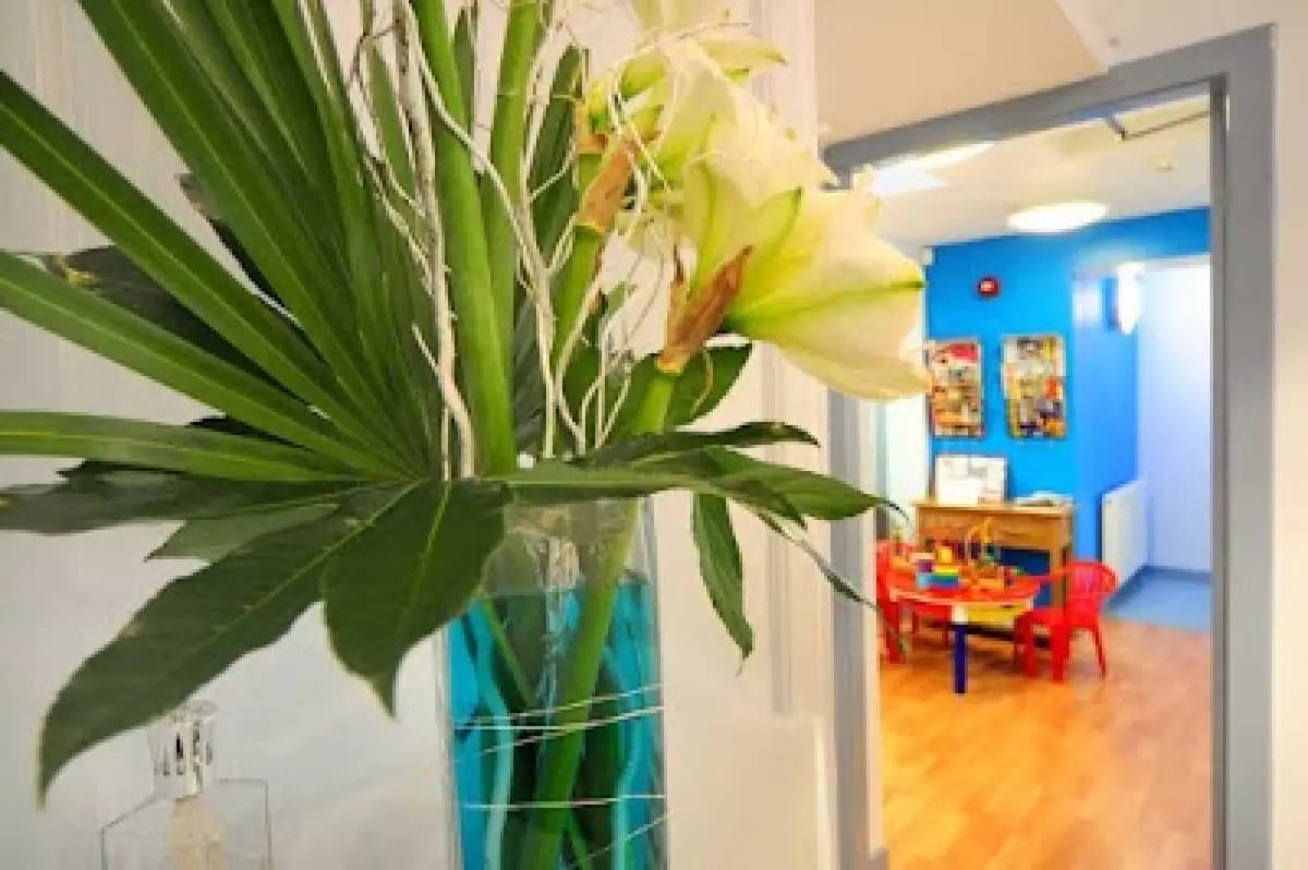 Craigentinny Dental Care - Image 2
