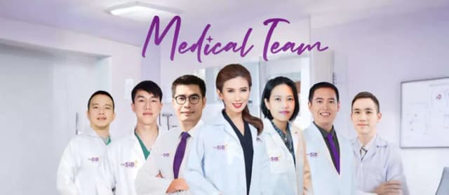 The SiB Plastic Surgery - Image 2