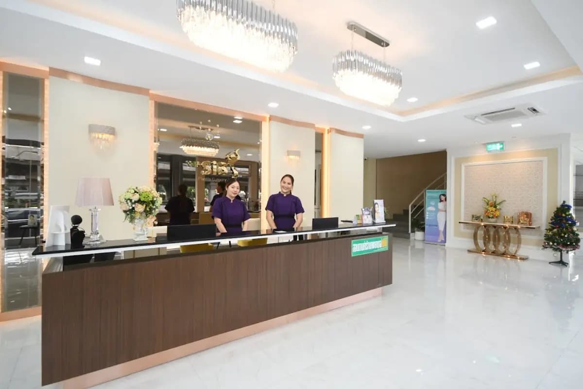 The SiB Plastic Surgery - Image 3