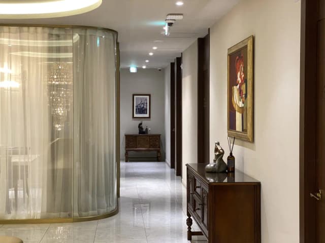 HERSHE Plastic Surgery Korea - Image 3