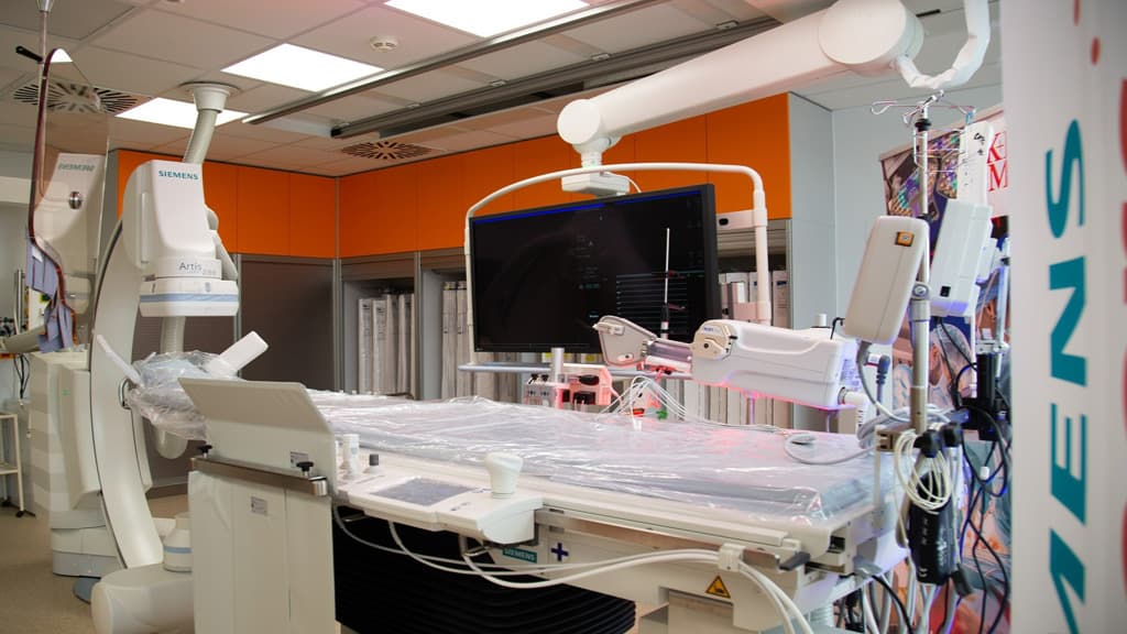 Institute for Clinical and Experimental Medicine (IKEM) – Prague - Image 2