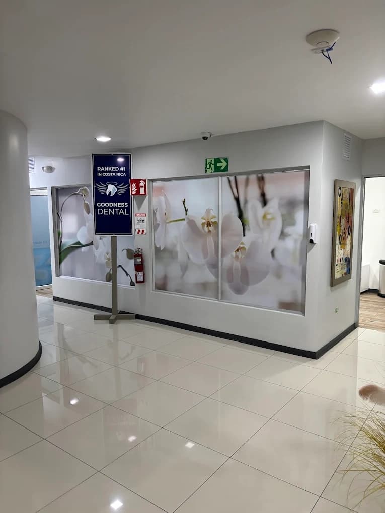 Goodness Dental - Image 3