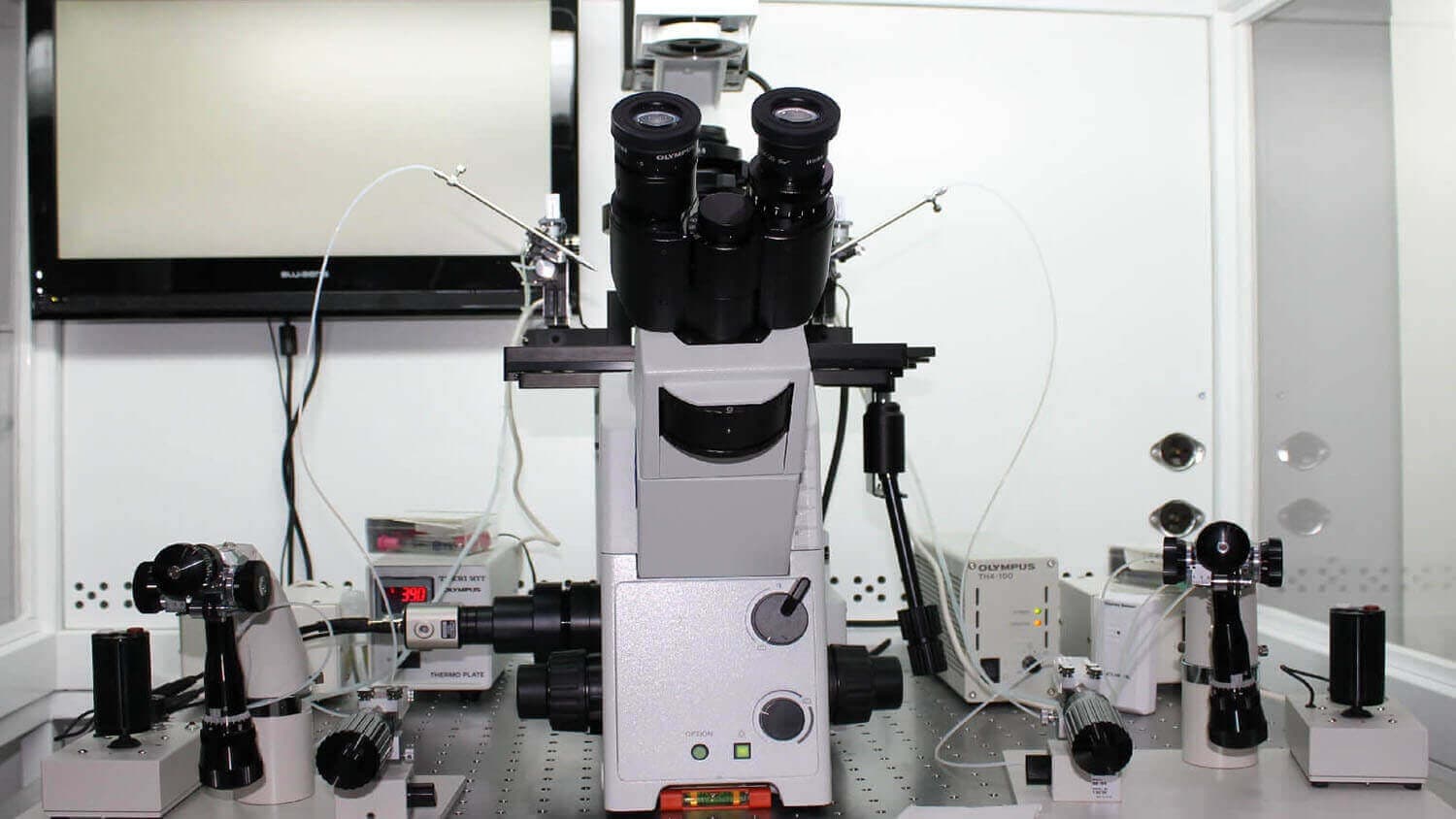 IREGA IVF Clinic - Image 2