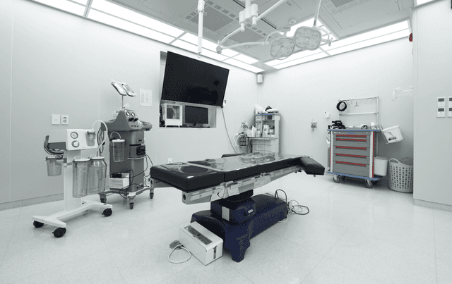 VIP Plastic Surgery - Image 2