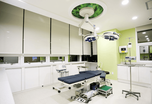 Answer Plastic Surgery - Image 2