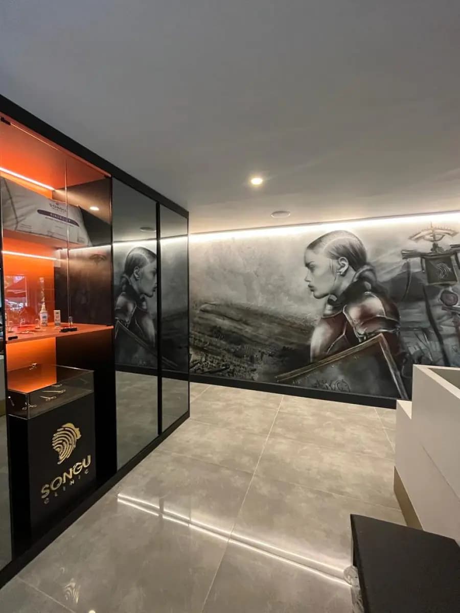 Prof. Dr. Murat Songu Clinic - Image 2
