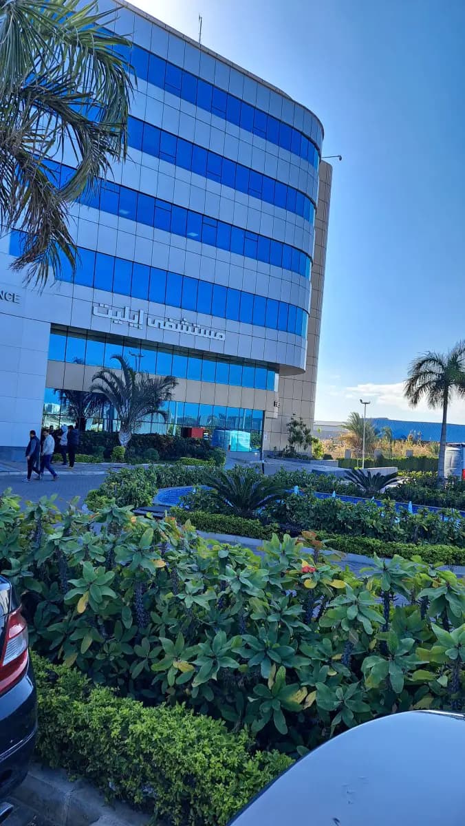 Dr. Islam Abdelkhalek's Clinic - Image 2