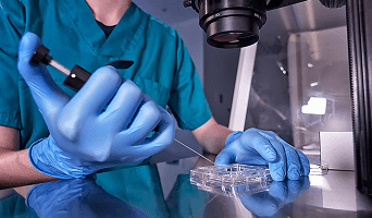 IVF with Gender Selection