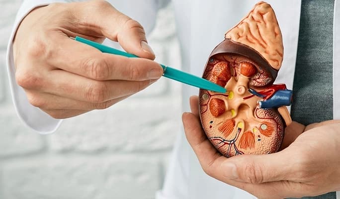 Kidney Cancer Ablation