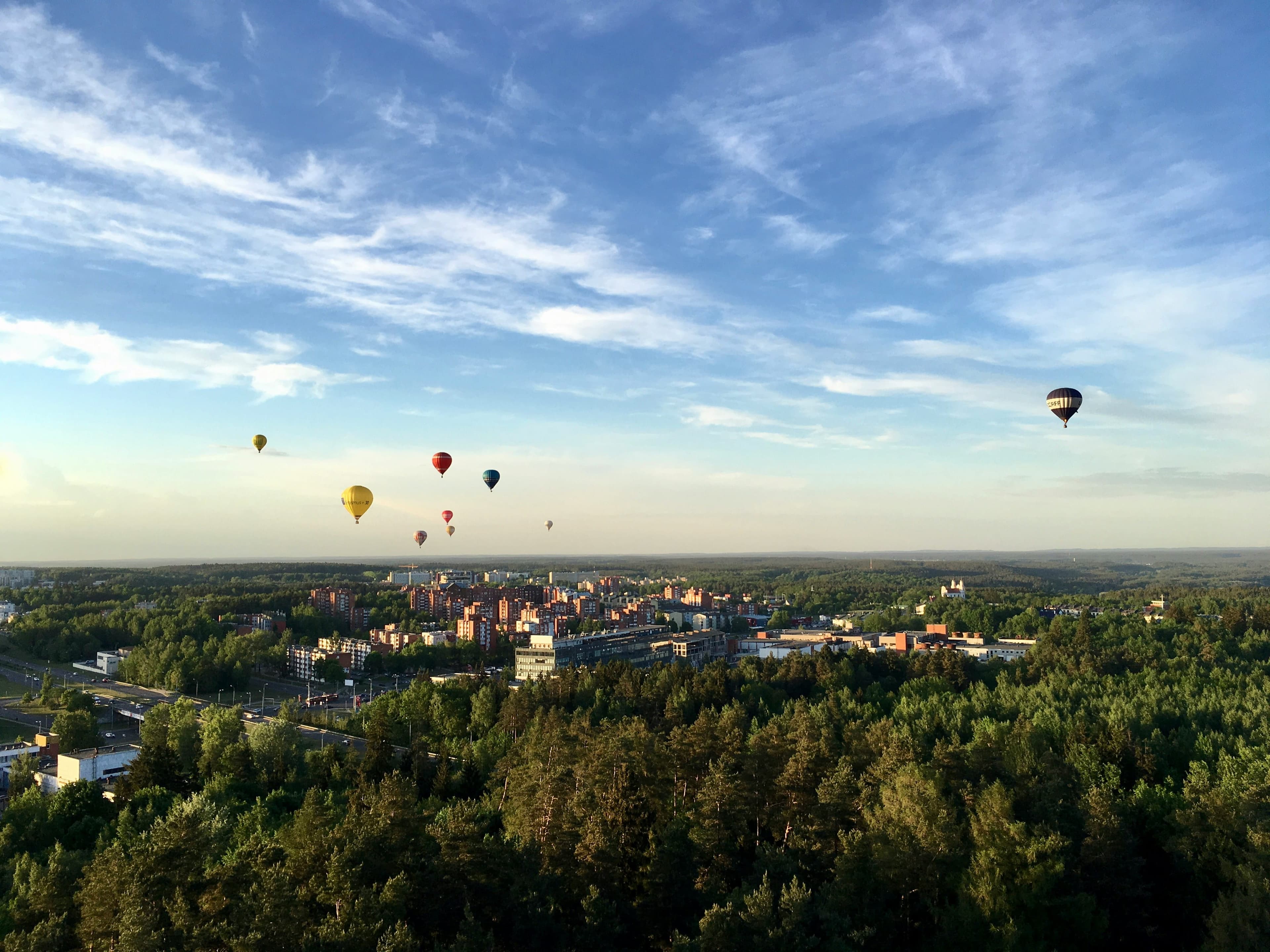 Revision Surgery in Lithuania