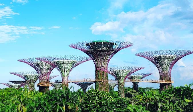Singapore - Image 4