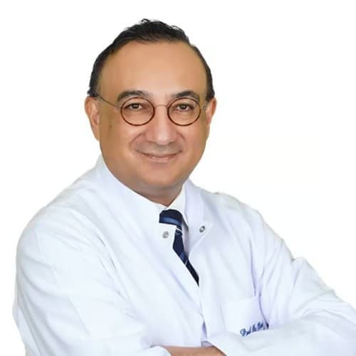 Prof. Dr. Murat Bozkurt