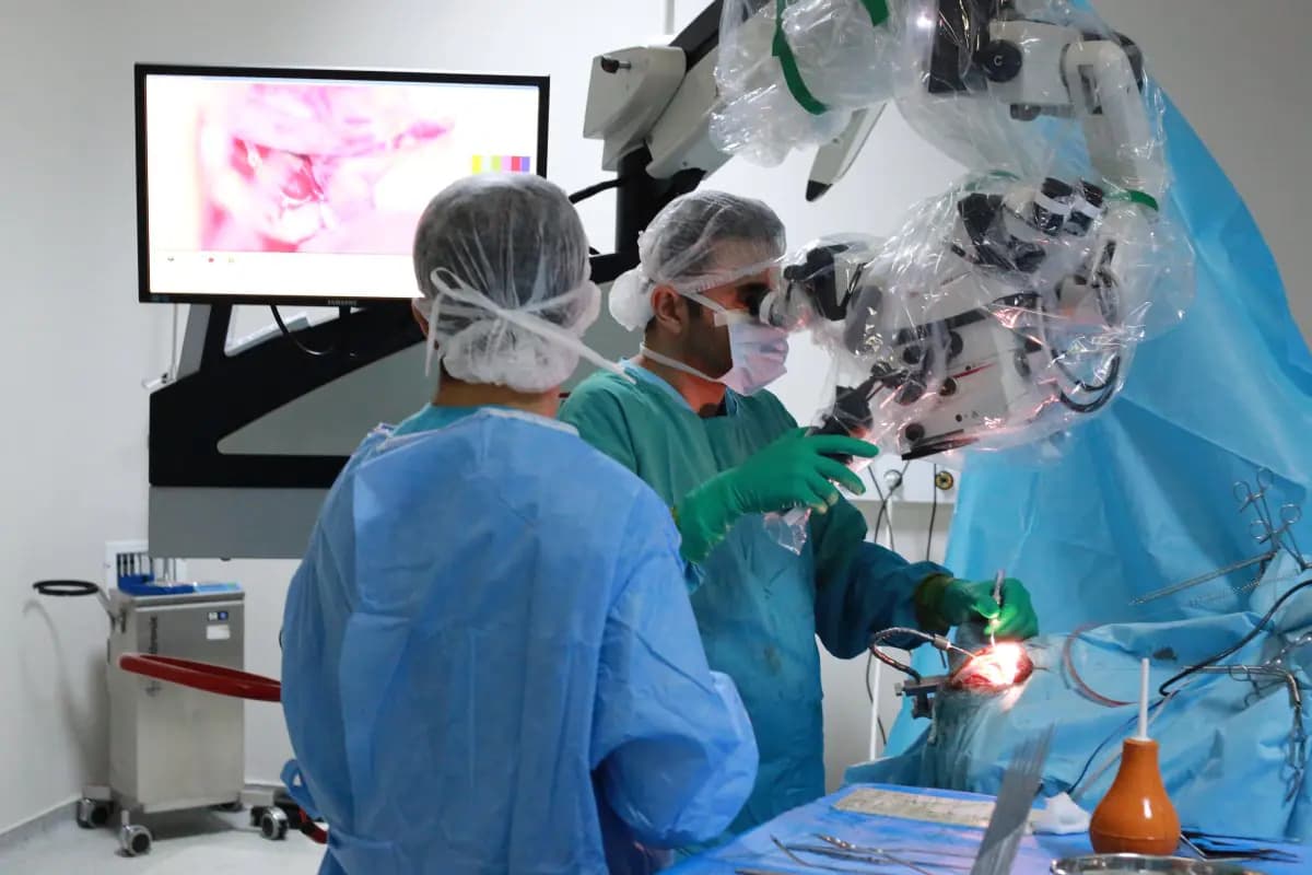 Dr. Kamran Aghayev's Private Practice - Image 3