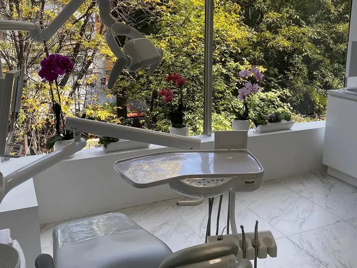 Beamann Hobbs Dental Clinic - Image 2