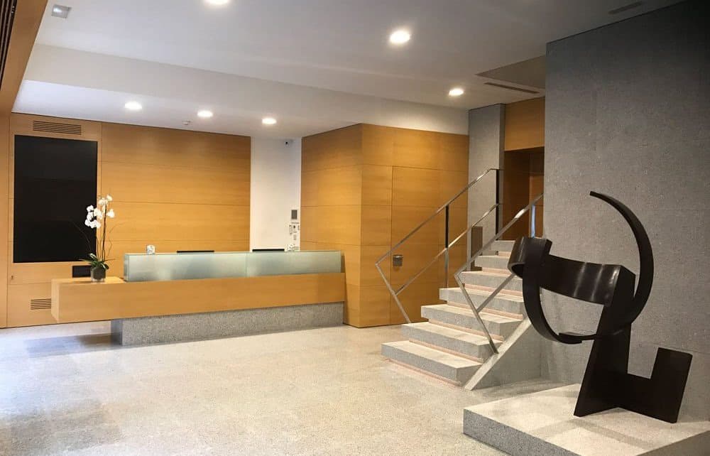 Instituto Bernabeu - Image 2