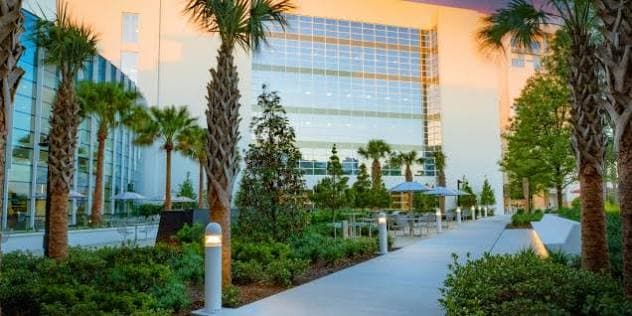 Mayo Clinic Cancer Center - Image 4