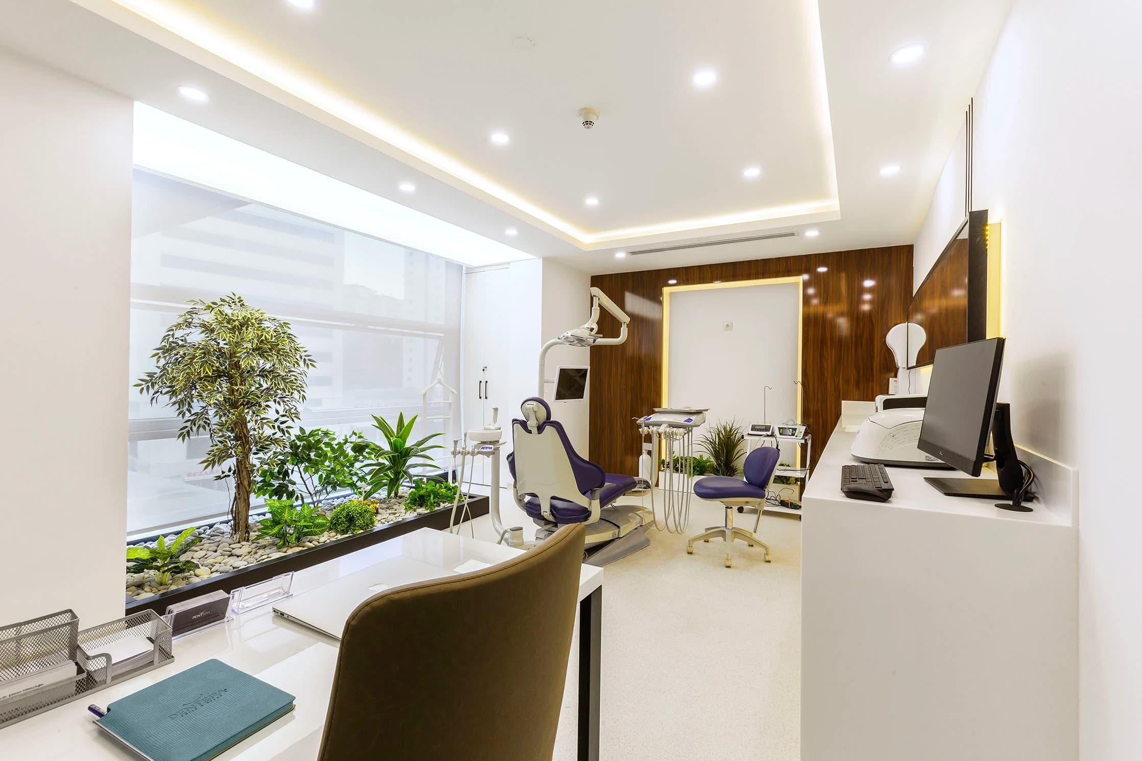 Dent Spa - Image 3