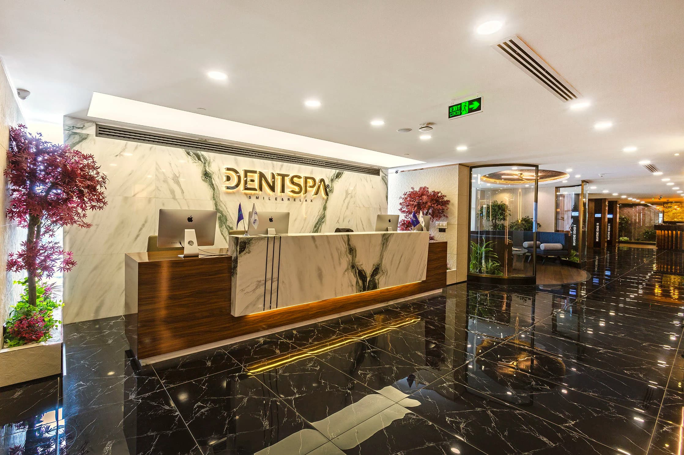 Dent Spa - Image 2