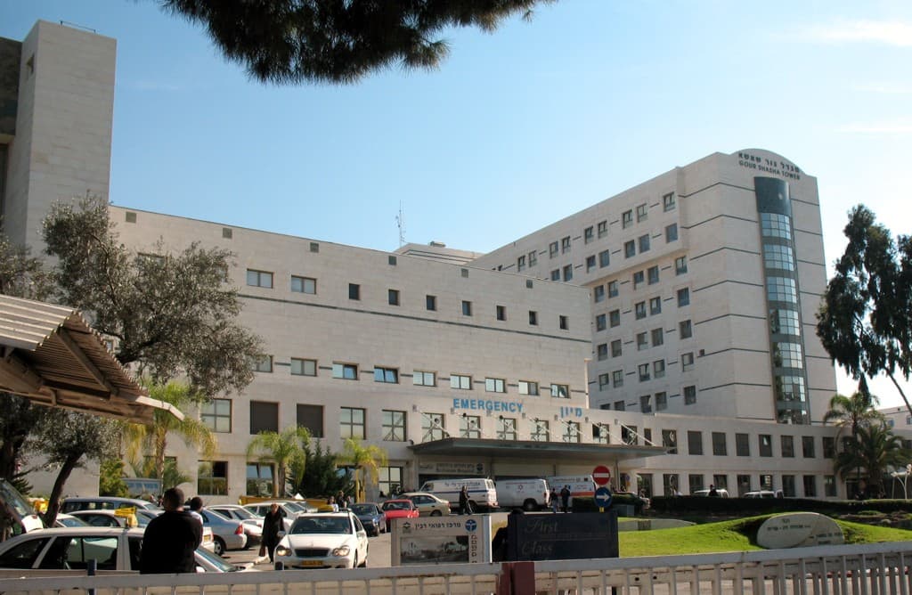 Rabin Medical Center (Beilinson and Schneider Children's Medical Center) - Image 2
