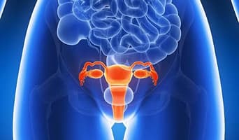 Endometrial / Uterine Cancer Treatment