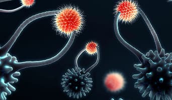 NK Cell Therapy (Natural Killer Cell Therapy)