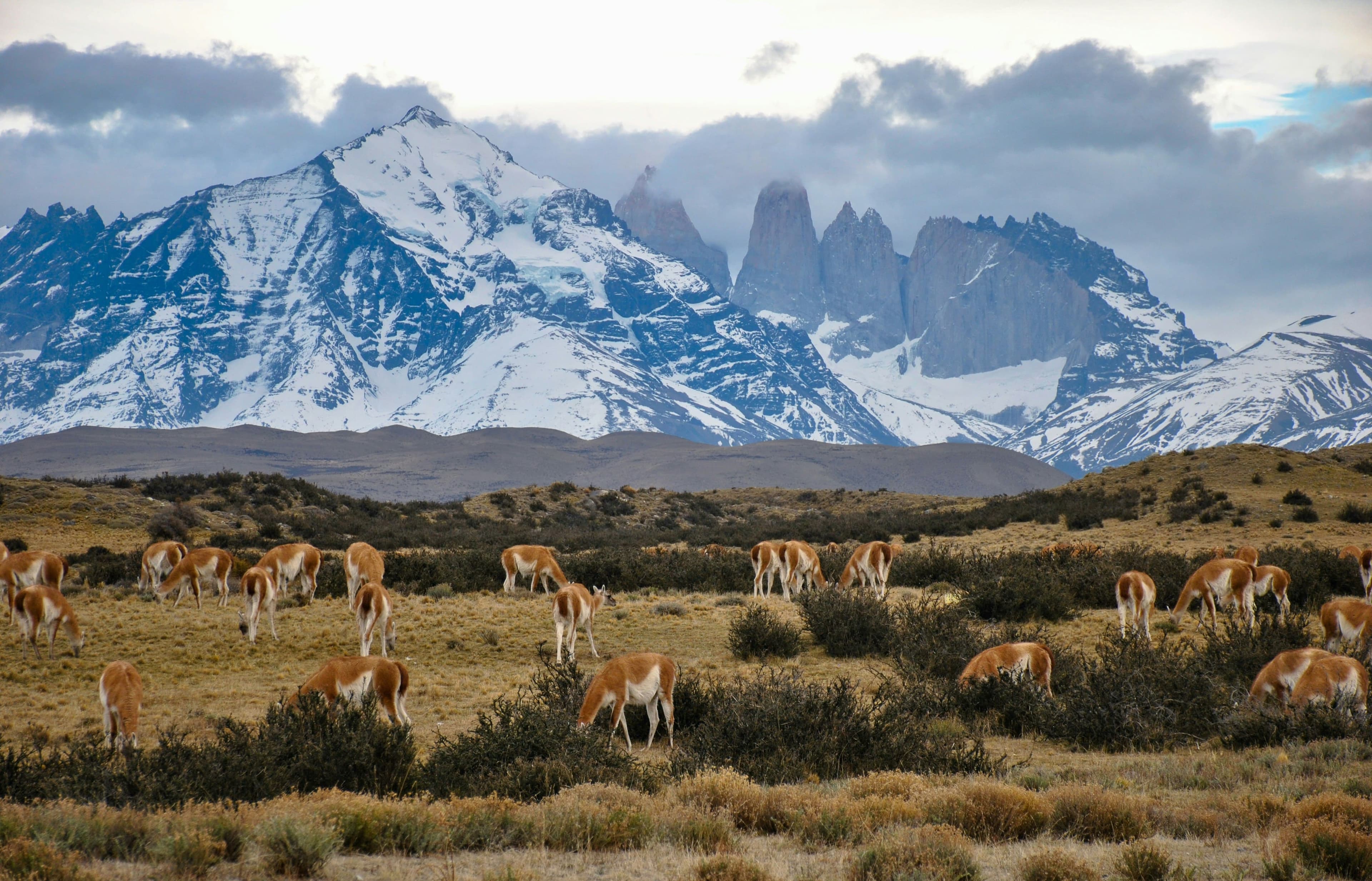 Chile - Image 3