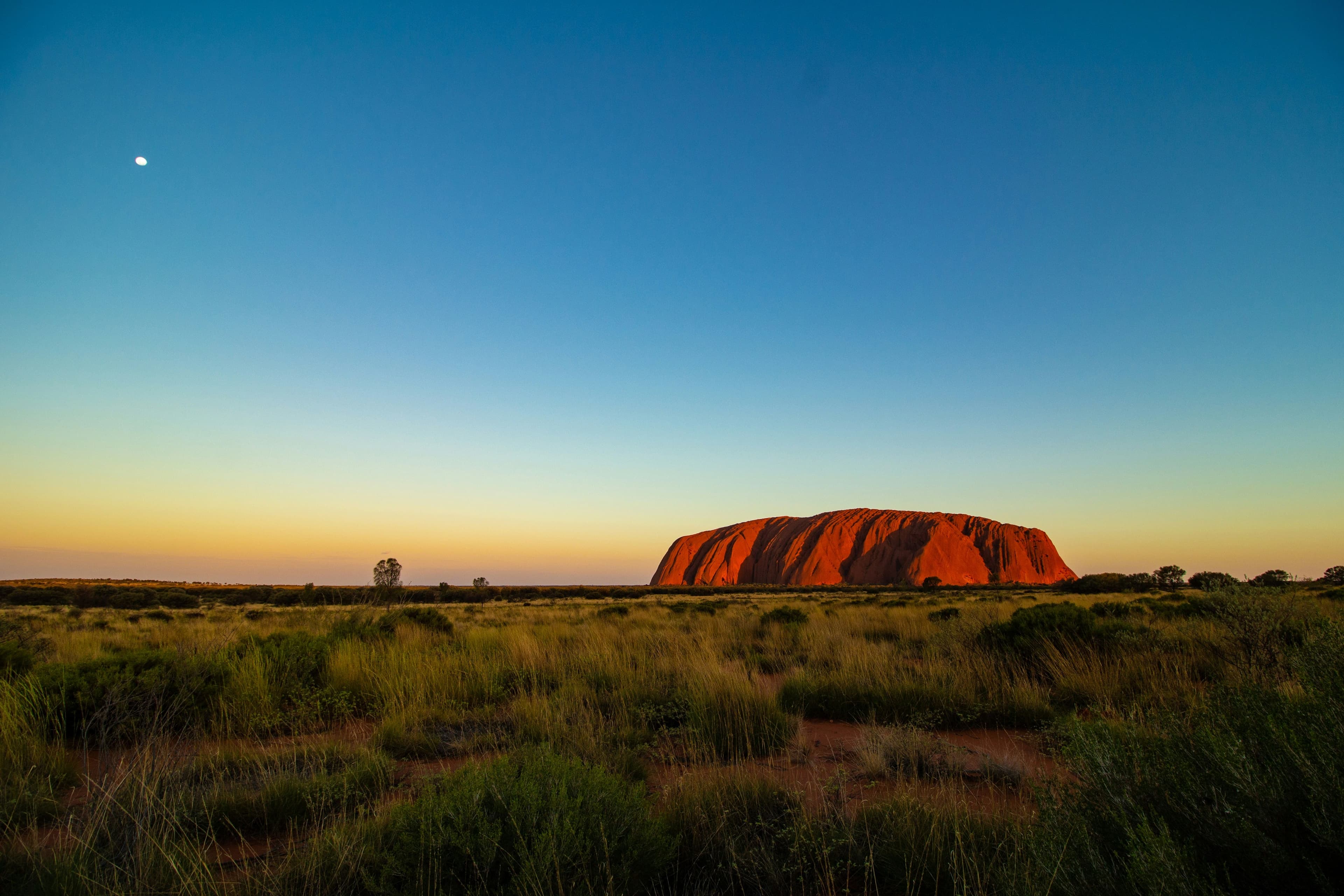 Australia - Image 4