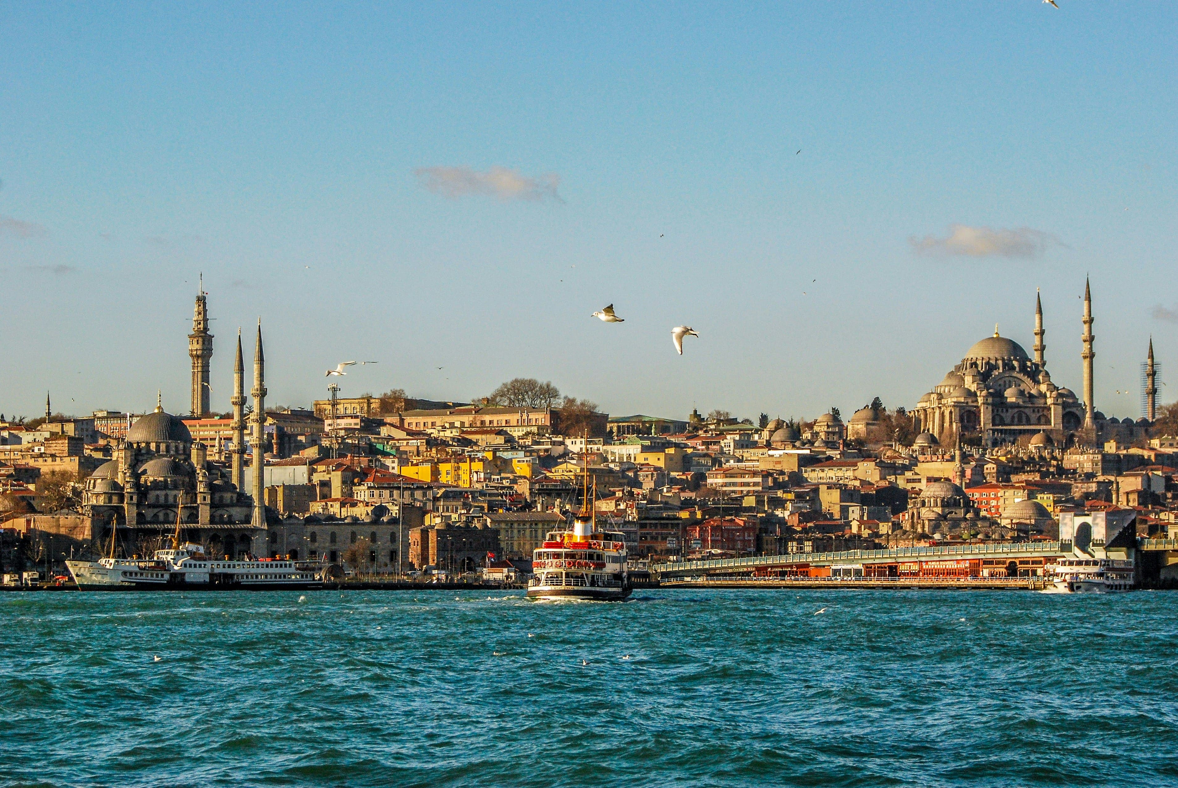 Turkey - Image 4