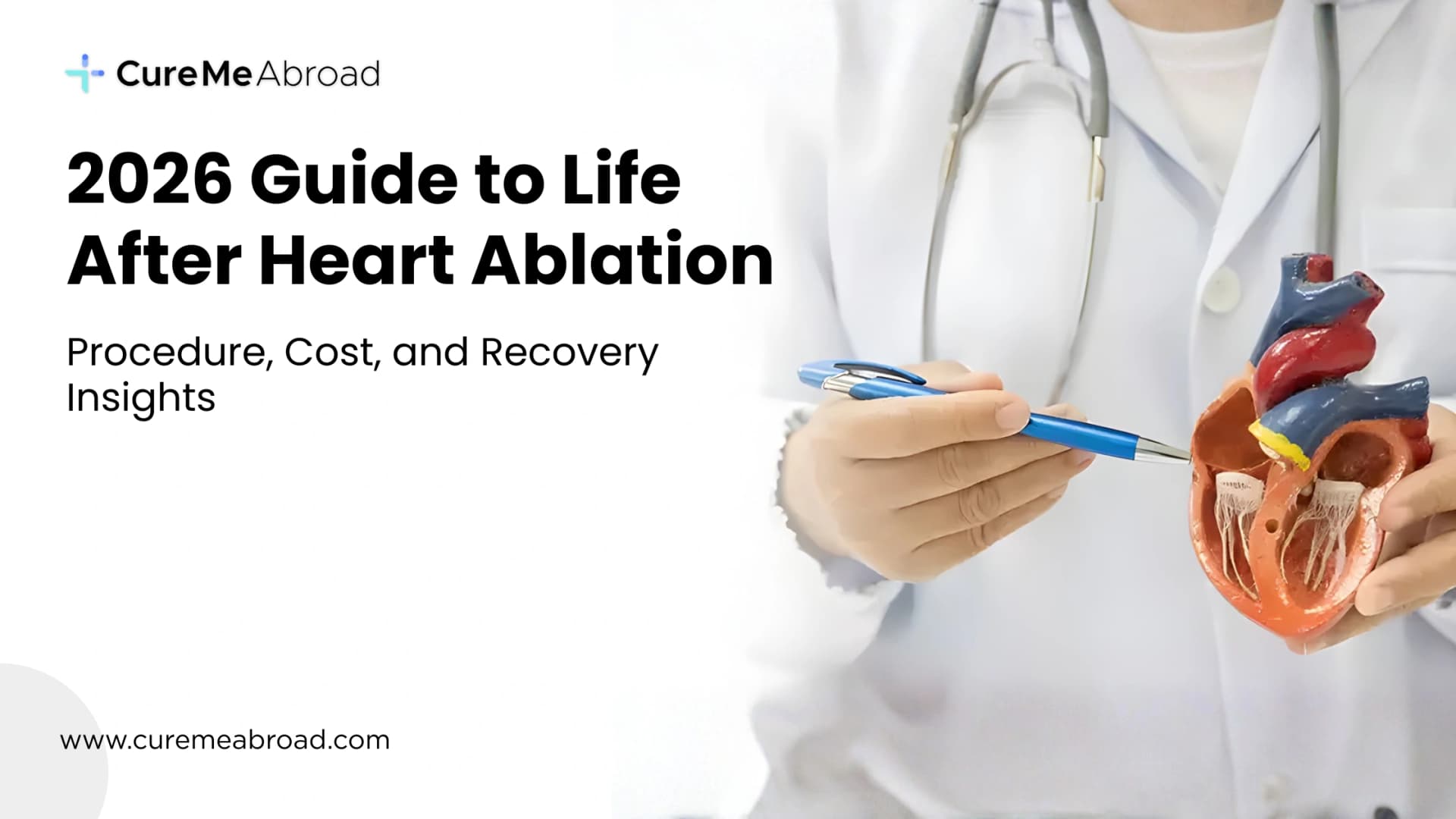 2026 Guide to Life After Heart Ablation: Procedure, Cost, and Recovery Insights